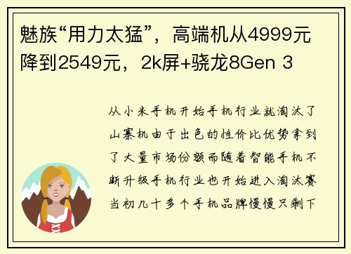 魅族“用力太猛”，高端机从4999元降到2549元，2k屏+骁龙8Gen 3